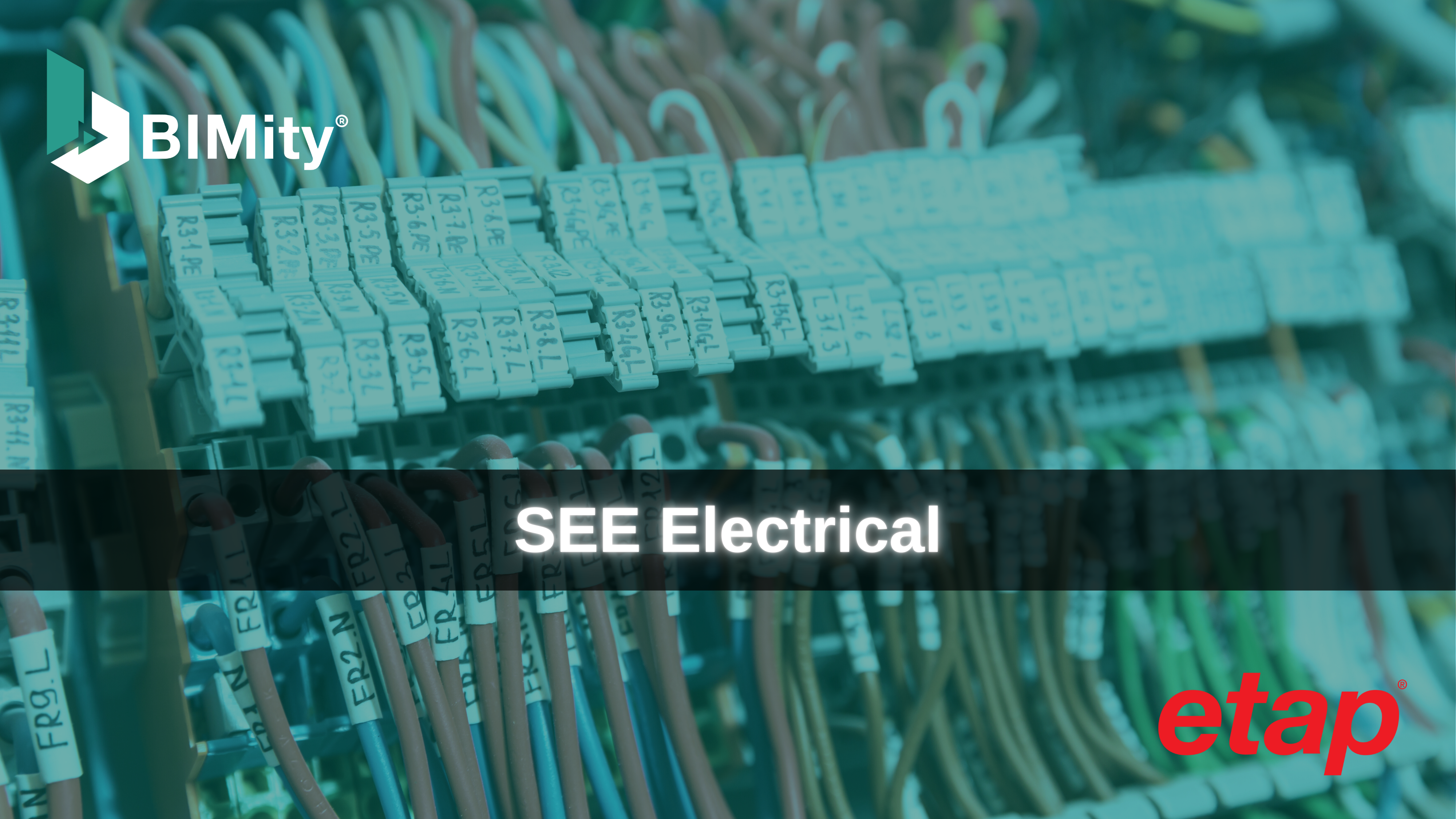 SEE Electrical