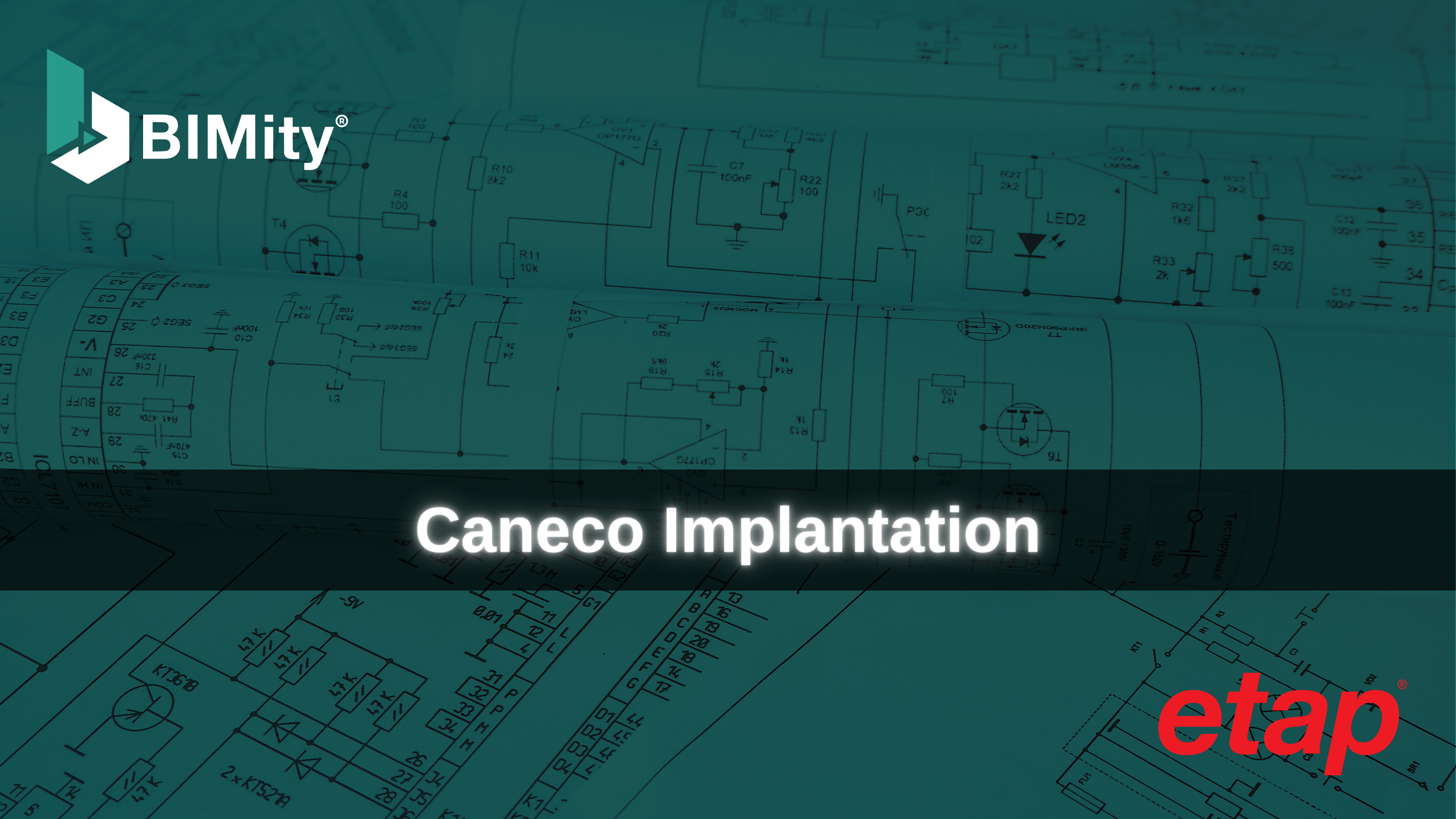 Caneco Implantation