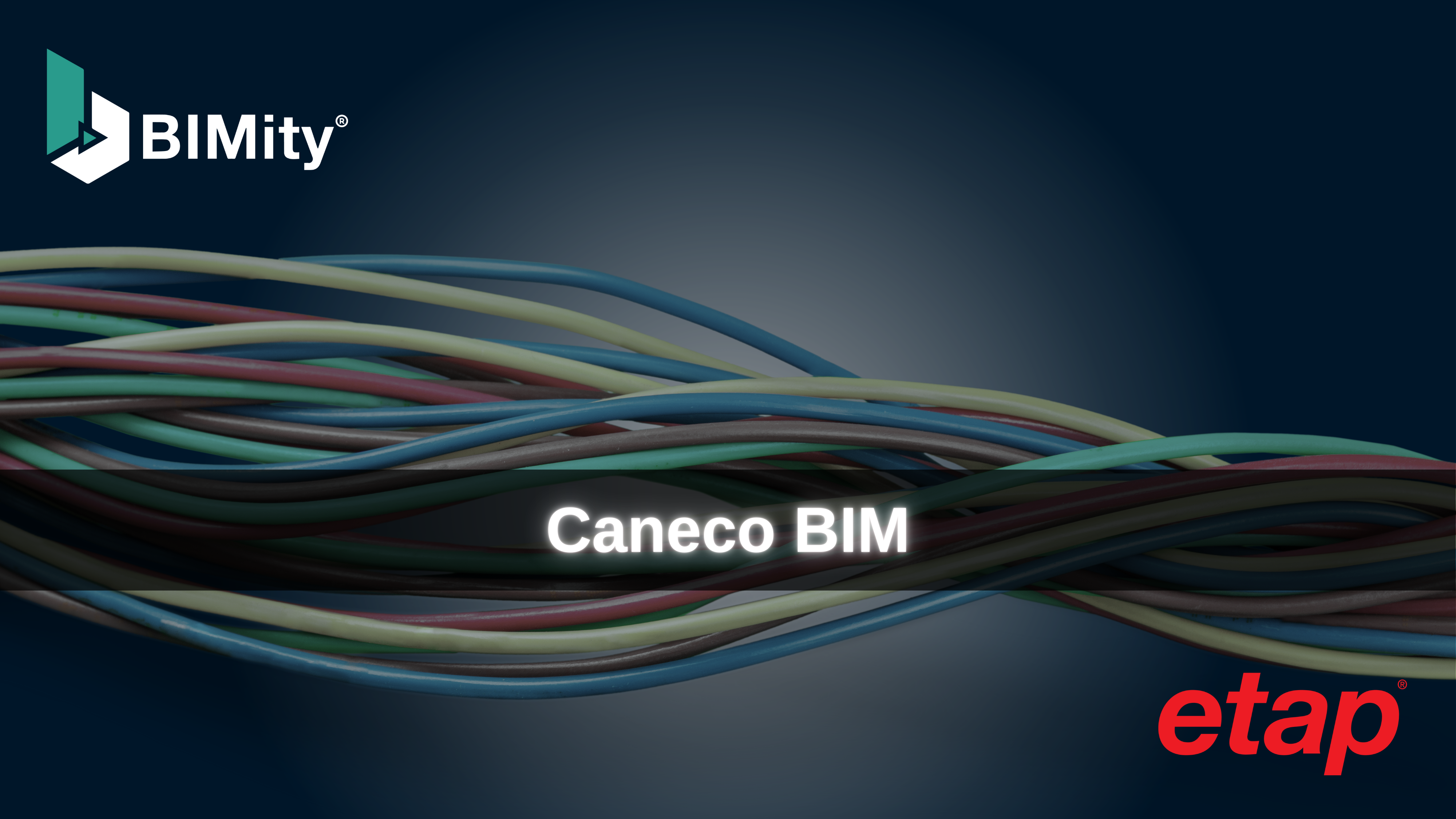 Caneco BIM